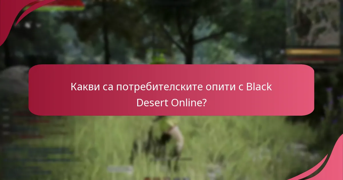 Какви са потребителските опити с Black Desert Online?